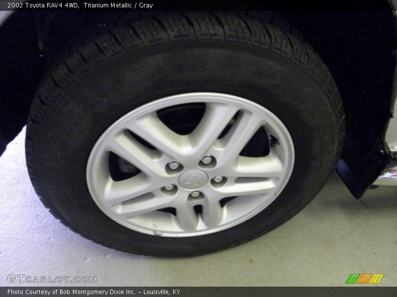 Titanium Metallic / Gray 2002 Toyota RAV4 4WD