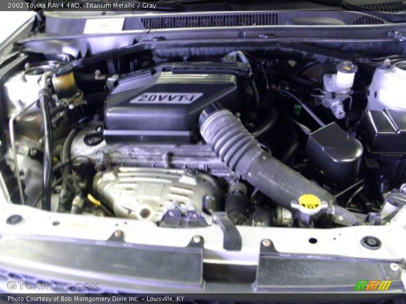 Titanium Metallic / Gray 2002 Toyota RAV4 4WD