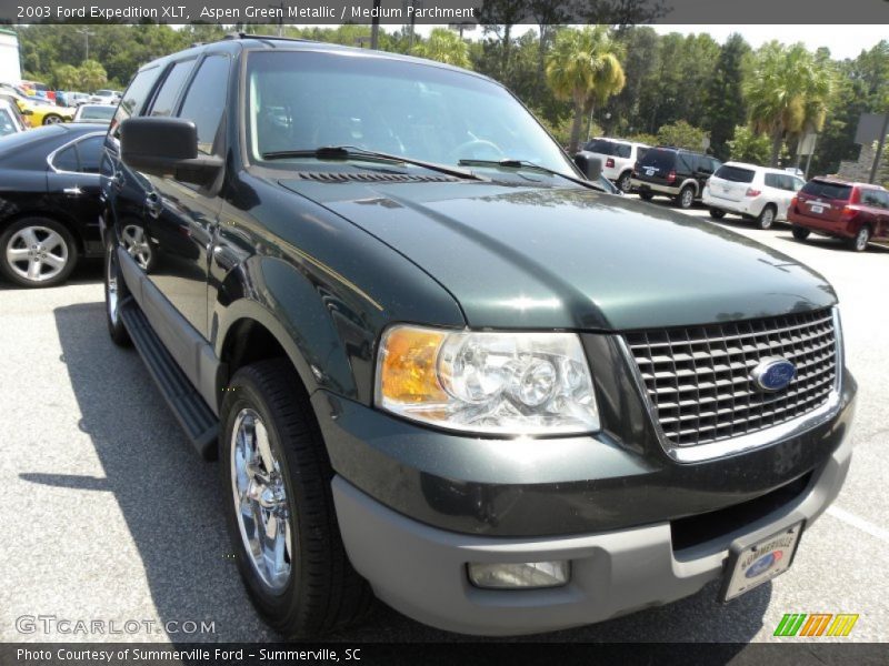 Aspen Green Metallic / Medium Parchment 2003 Ford Expedition XLT