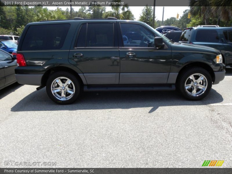 Aspen Green Metallic / Medium Parchment 2003 Ford Expedition XLT