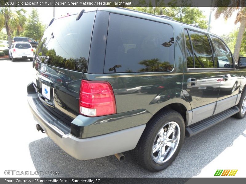 Aspen Green Metallic / Medium Parchment 2003 Ford Expedition XLT