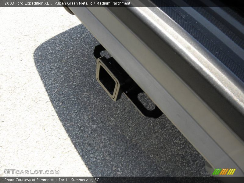 Aspen Green Metallic / Medium Parchment 2003 Ford Expedition XLT
