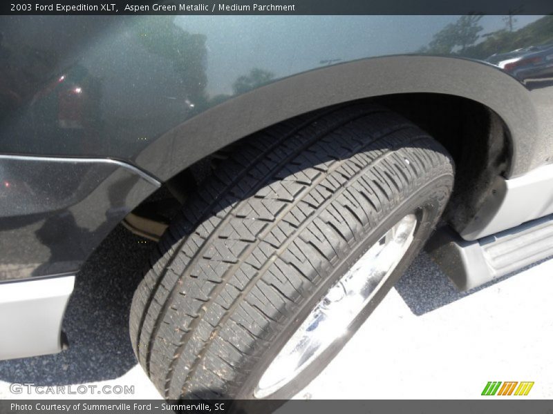 Aspen Green Metallic / Medium Parchment 2003 Ford Expedition XLT