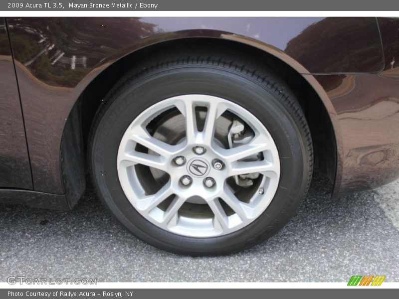 Mayan Bronze Metallic / Ebony 2009 Acura TL 3.5