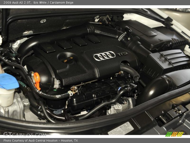 Ibis White / Cardamom Beige 2009 Audi A3 2.0T