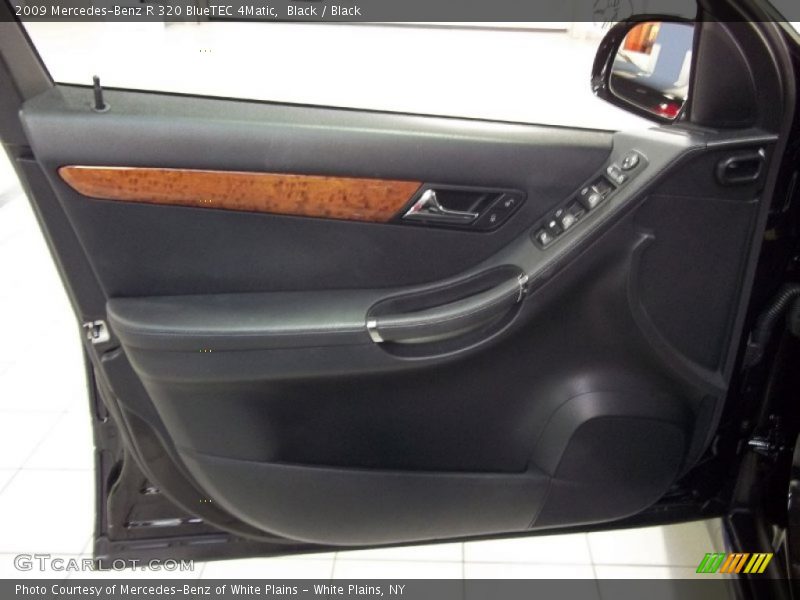 Door Panel of 2009 R 320 BlueTEC 4Matic