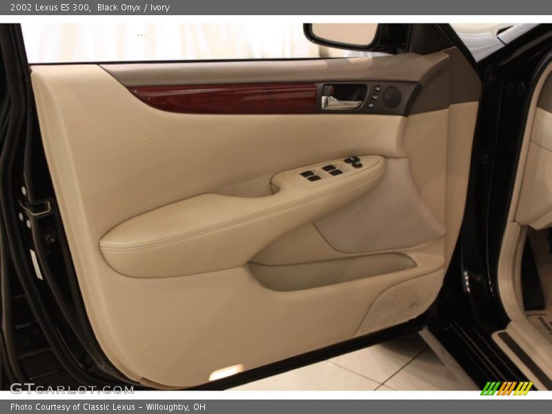 Black Onyx / Ivory 2002 Lexus ES 300