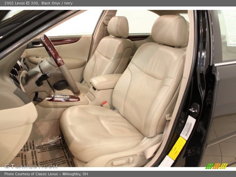 Black Onyx / Ivory 2002 Lexus ES 300