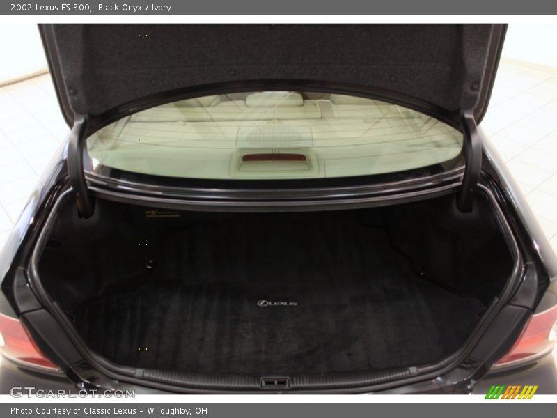 Black Onyx / Ivory 2002 Lexus ES 300