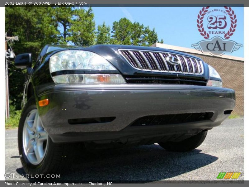 Black Onyx / Ivory 2002 Lexus RX 300 AWD