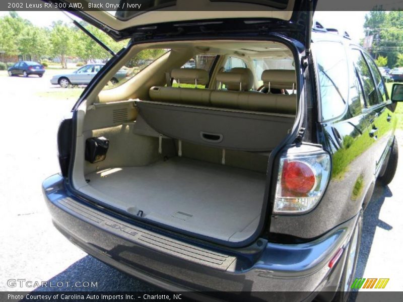 Black Onyx / Ivory 2002 Lexus RX 300 AWD