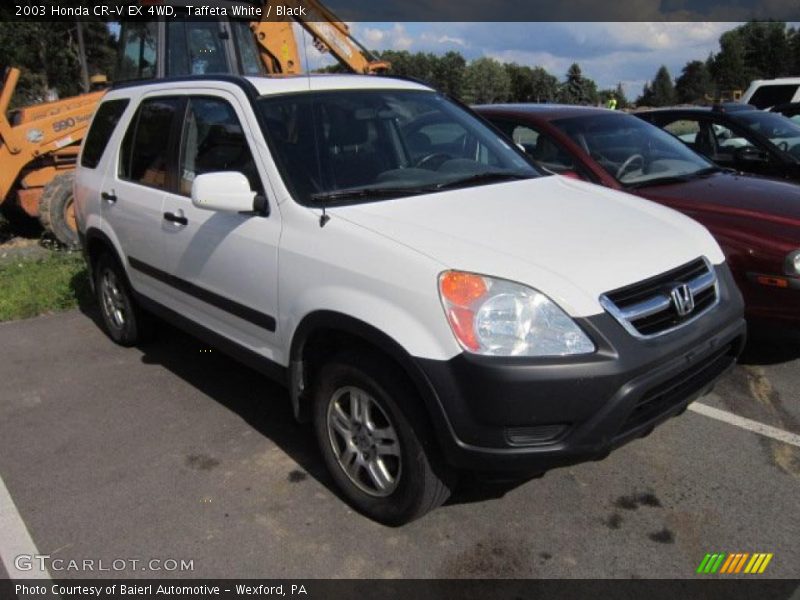Taffeta White / Black 2003 Honda CR-V EX 4WD