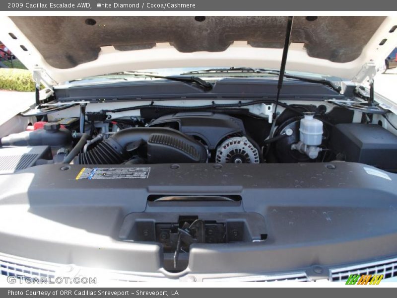 White Diamond / Cocoa/Cashmere 2009 Cadillac Escalade AWD