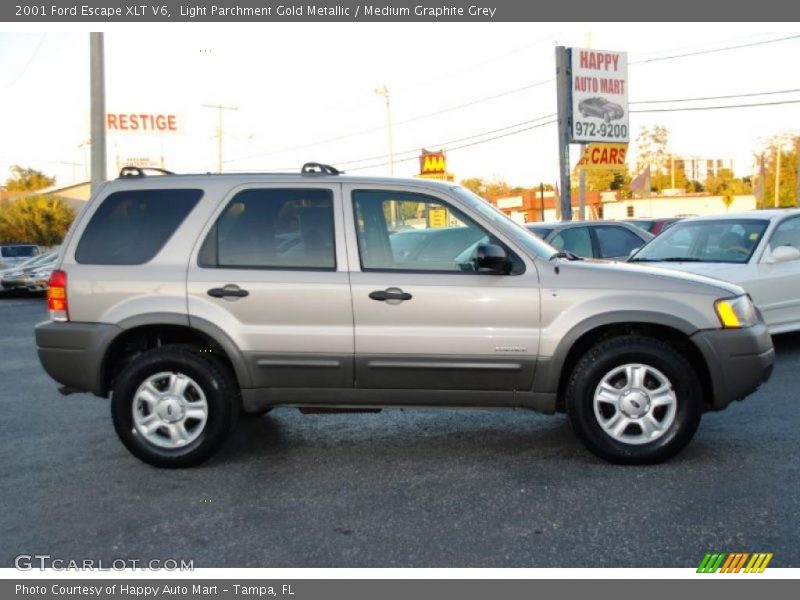 Light Parchment Gold Metallic / Medium Graphite Grey 2001 Ford Escape XLT V6