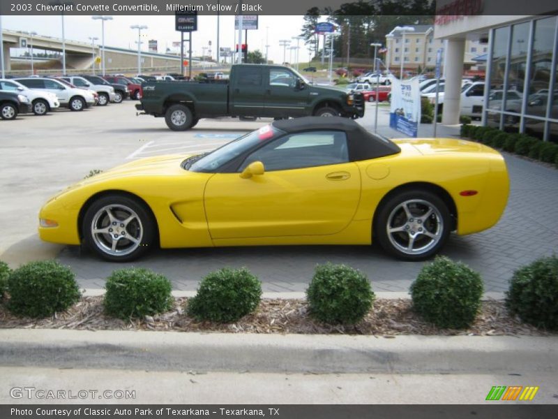Millenium Yellow / Black 2003 Chevrolet Corvette Convertible