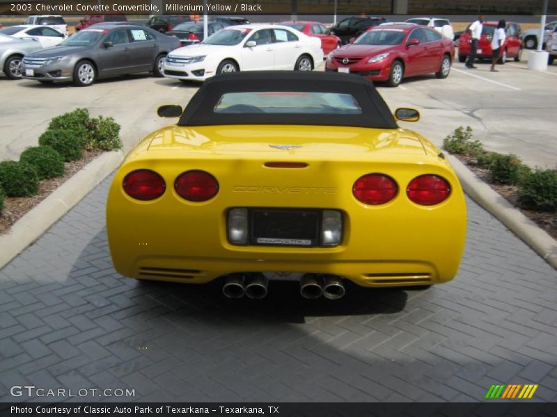 Millenium Yellow / Black 2003 Chevrolet Corvette Convertible