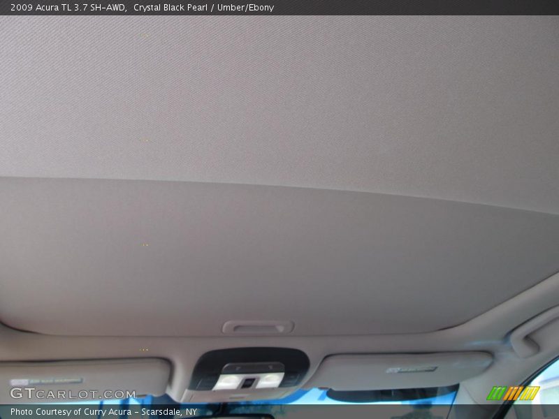 Crystal Black Pearl / Umber/Ebony 2009 Acura TL 3.7 SH-AWD