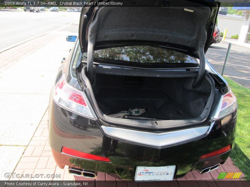 Crystal Black Pearl / Umber/Ebony 2009 Acura TL 3.7 SH-AWD