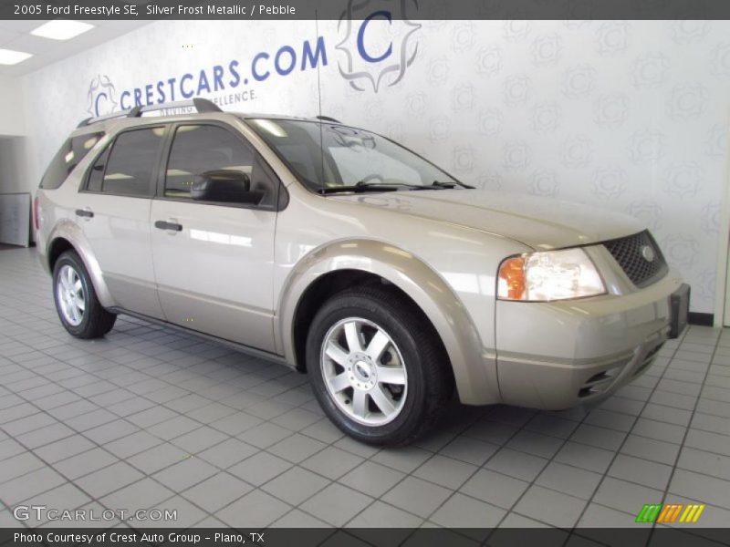 Silver Frost Metallic / Pebble 2005 Ford Freestyle SE