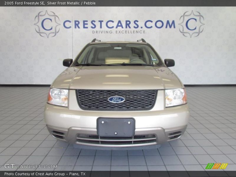 Silver Frost Metallic / Pebble 2005 Ford Freestyle SE