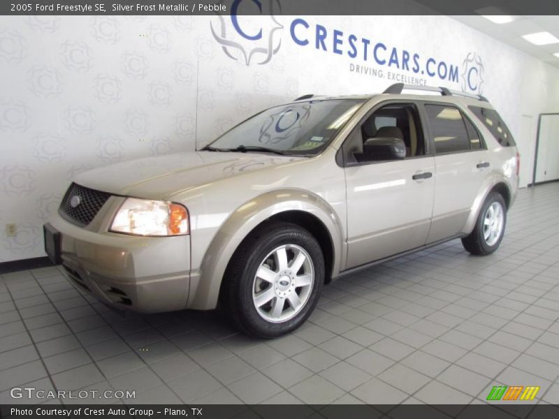 Silver Frost Metallic / Pebble 2005 Ford Freestyle SE
