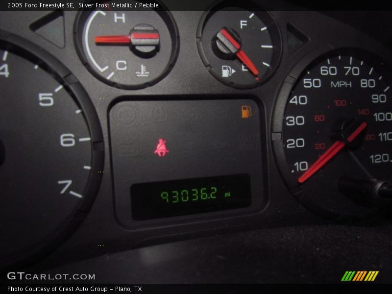 Silver Frost Metallic / Pebble 2005 Ford Freestyle SE