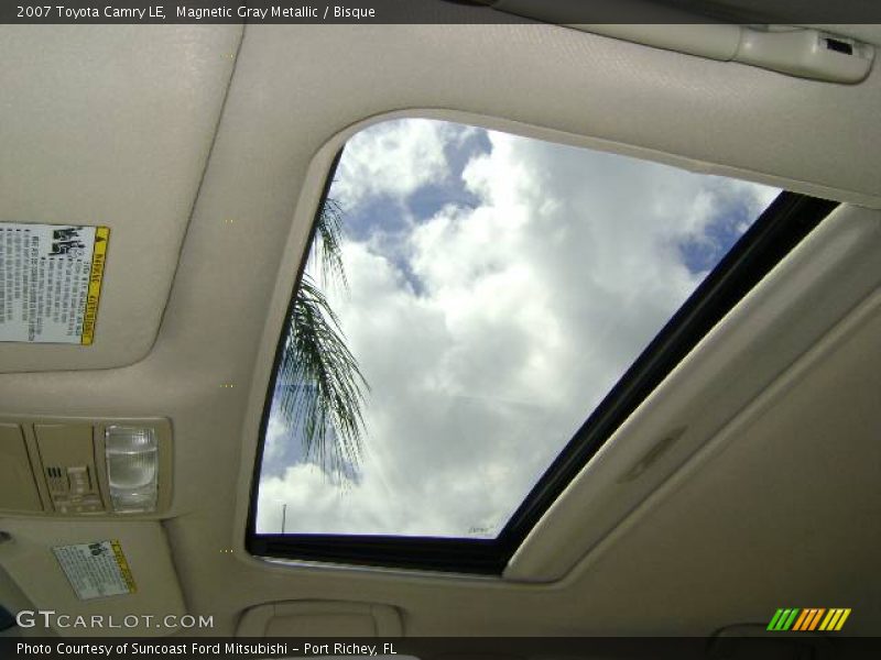 Magnetic Gray Metallic / Bisque 2007 Toyota Camry LE