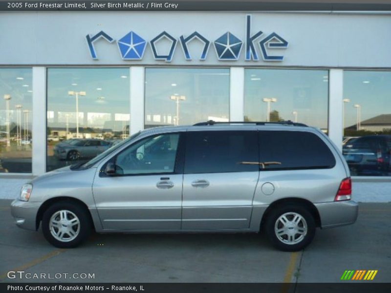 Silver Birch Metallic / Flint Grey 2005 Ford Freestar Limited