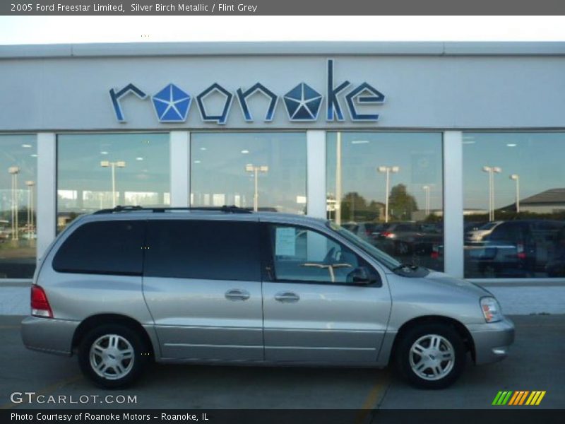 Silver Birch Metallic / Flint Grey 2005 Ford Freestar Limited