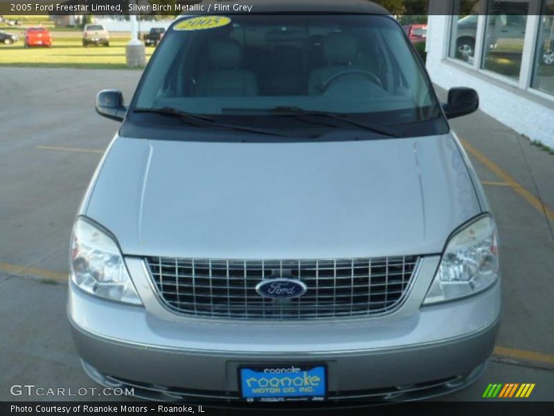 Silver Birch Metallic / Flint Grey 2005 Ford Freestar Limited