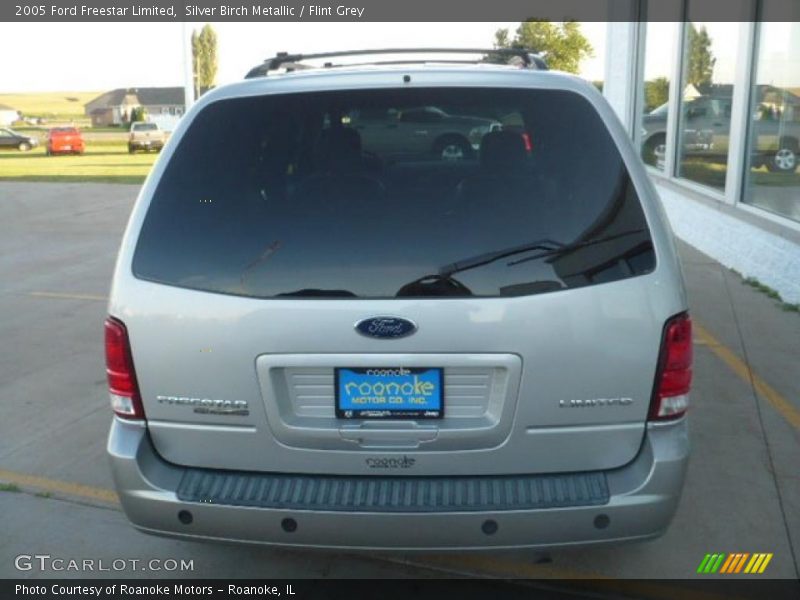 Silver Birch Metallic / Flint Grey 2005 Ford Freestar Limited