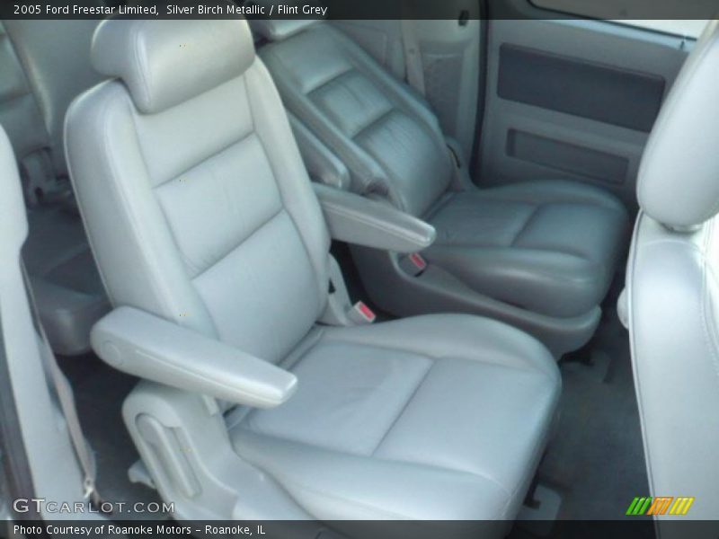 Silver Birch Metallic / Flint Grey 2005 Ford Freestar Limited