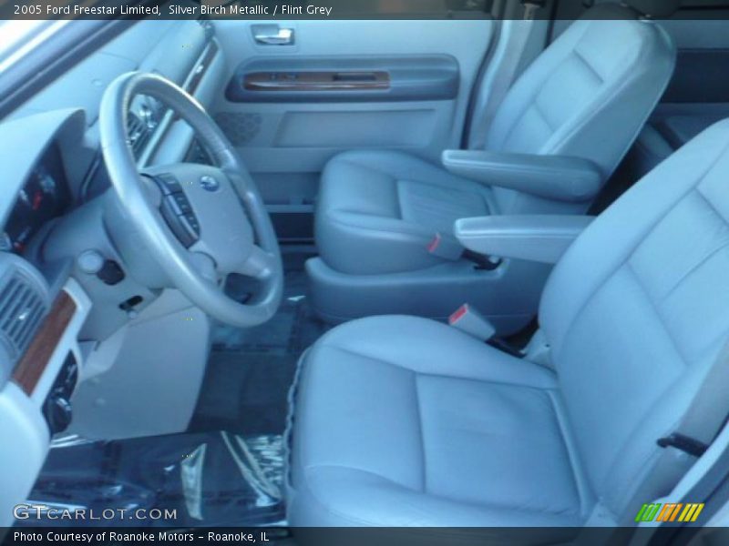 Silver Birch Metallic / Flint Grey 2005 Ford Freestar Limited