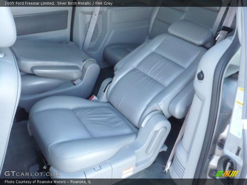 Silver Birch Metallic / Flint Grey 2005 Ford Freestar Limited