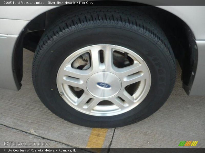 Silver Birch Metallic / Flint Grey 2005 Ford Freestar Limited