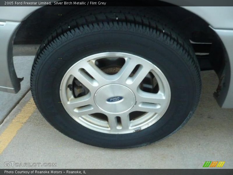 Silver Birch Metallic / Flint Grey 2005 Ford Freestar Limited