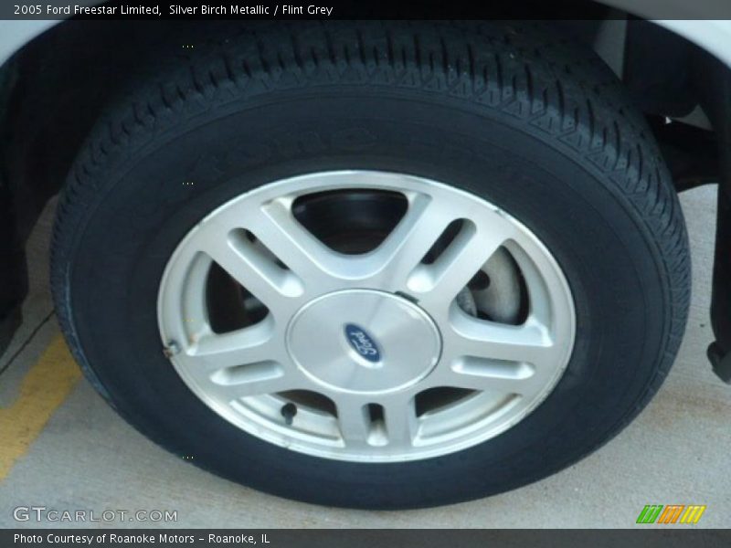 Silver Birch Metallic / Flint Grey 2005 Ford Freestar Limited