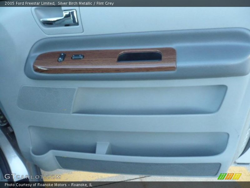 Silver Birch Metallic / Flint Grey 2005 Ford Freestar Limited