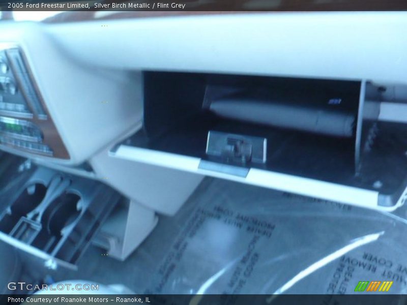 Silver Birch Metallic / Flint Grey 2005 Ford Freestar Limited