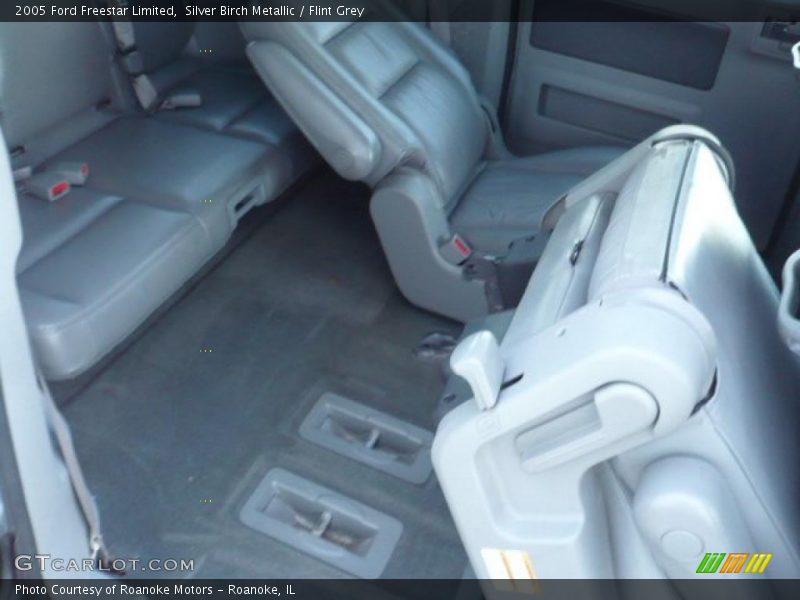 Silver Birch Metallic / Flint Grey 2005 Ford Freestar Limited