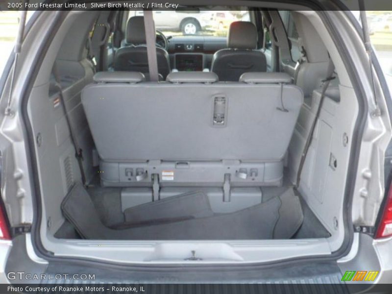 Silver Birch Metallic / Flint Grey 2005 Ford Freestar Limited
