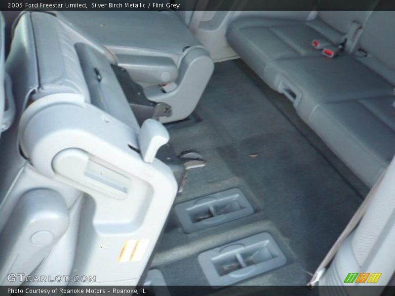 Silver Birch Metallic / Flint Grey 2005 Ford Freestar Limited