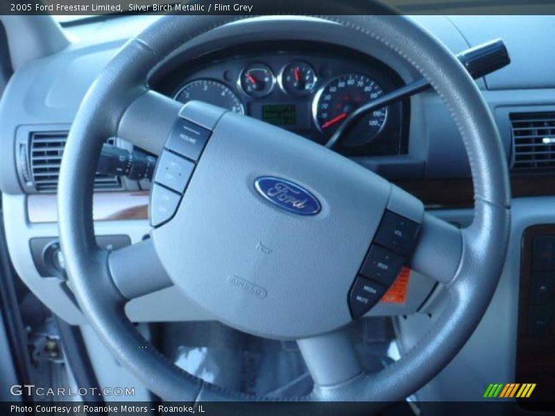 Silver Birch Metallic / Flint Grey 2005 Ford Freestar Limited