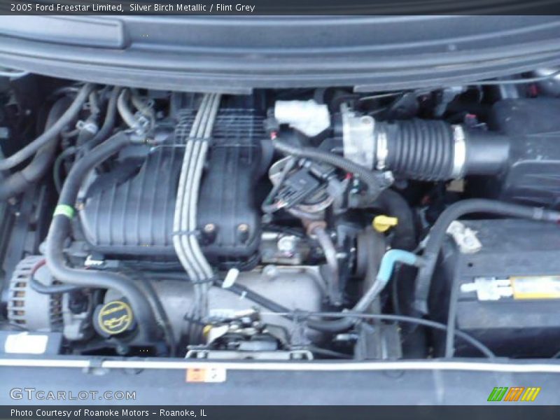 Silver Birch Metallic / Flint Grey 2005 Ford Freestar Limited