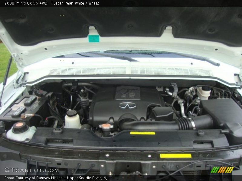 Tuscan Pearl White / Wheat 2008 Infiniti QX 56 4WD