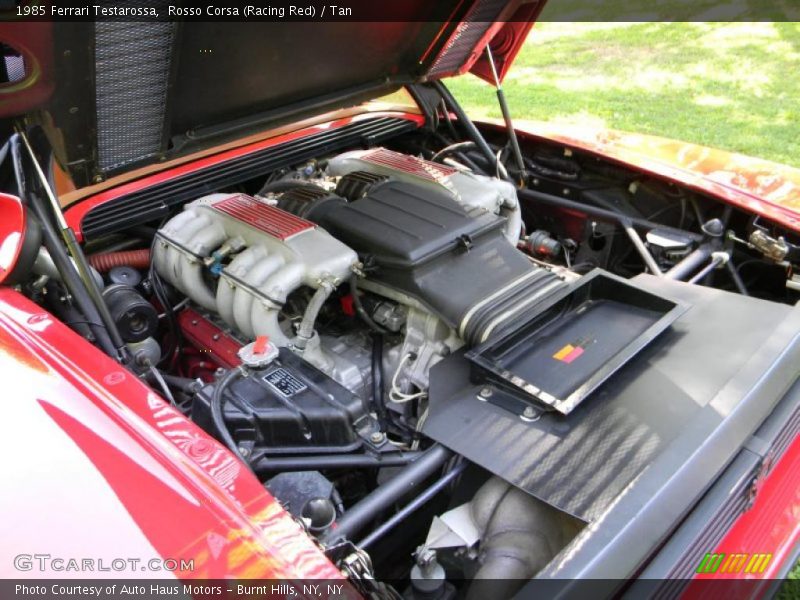  1985 Testarossa  Engine - 4.9 Liter DOHC 48-Valve Flat 12 Cylinder