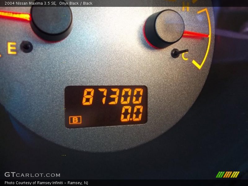 Onyx Black / Black 2004 Nissan Maxima 3.5 SE