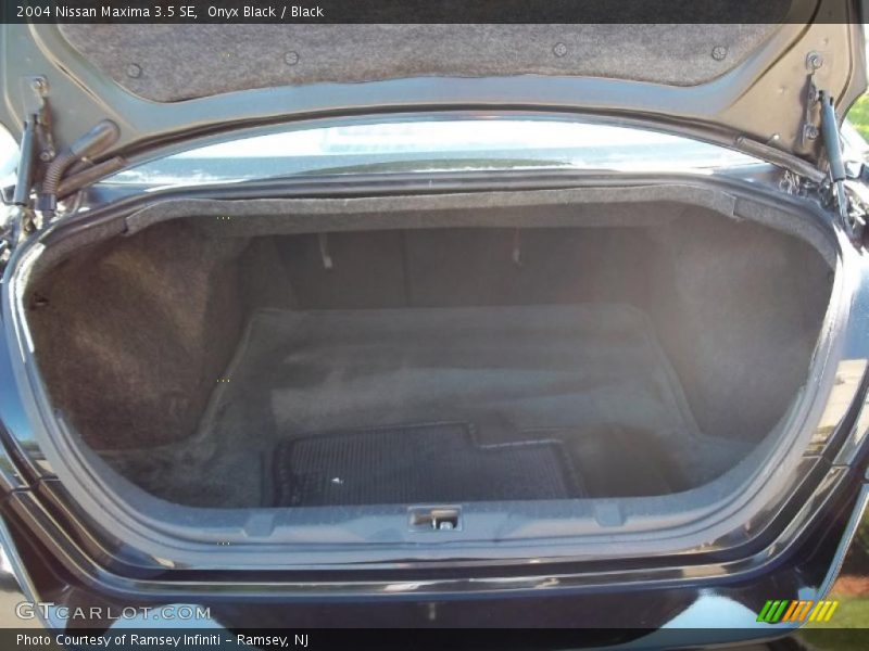 Onyx Black / Black 2004 Nissan Maxima 3.5 SE