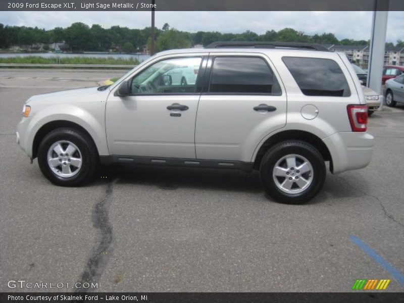 Light Sage Metallic / Stone 2009 Ford Escape XLT