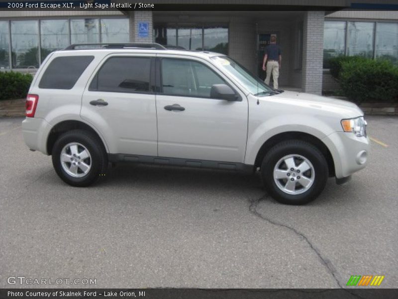 Light Sage Metallic / Stone 2009 Ford Escape XLT